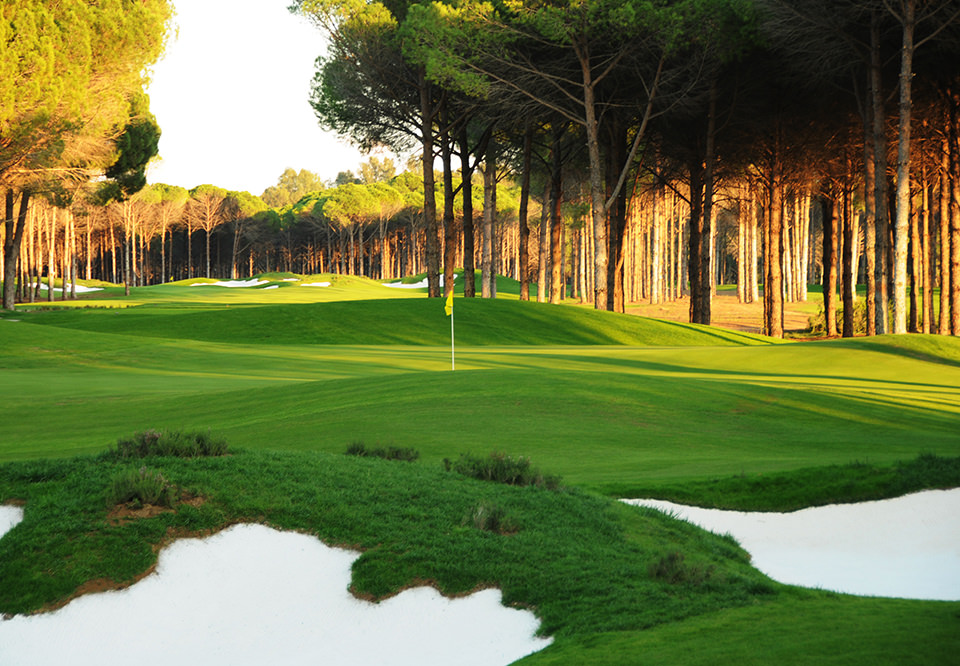 Carya Golf Club - Greens 1