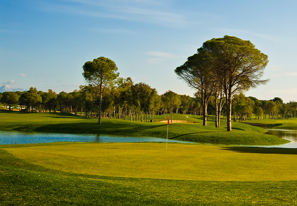 Carya Golf Club - Greens 2