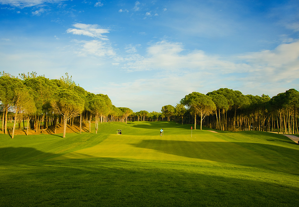 Carya Golf Club - Greens 4